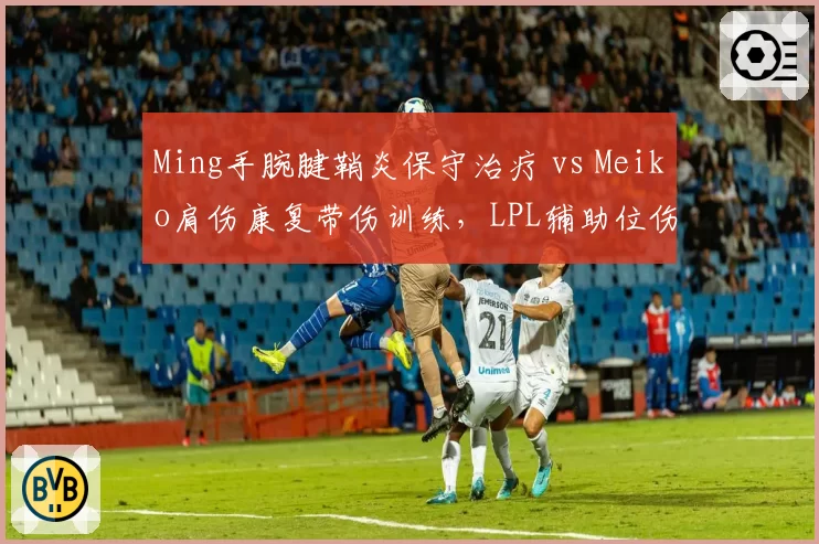 Ming手腕腱鞘炎保守治疗 vs Meiko肩伤康复带伤训练,LPL辅助位伤病管理策略对比
